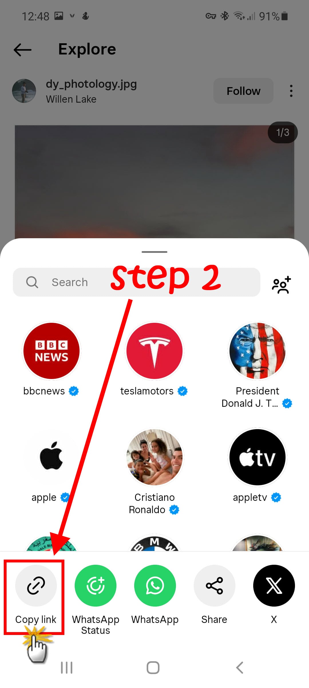 instagram photo downloader step 2
